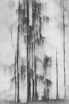 a black and white photo of trees in the rain