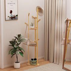 a living room with a plant, chair and other items on the floor in front of a window