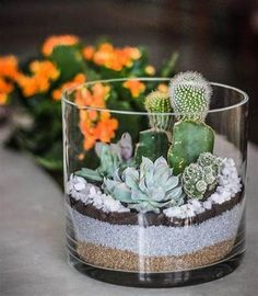 a glass vase filled with lots of succulents