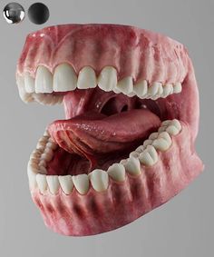 Dentistry Photography, Dental Meme, Dentist Career, Teeth Anatomy, Dental Photos, Dental Posts, Dental Posters, Dental Photography, Teeth Art