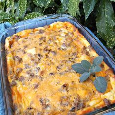 a casserole with meat and cheese in a blue dish next to green plants