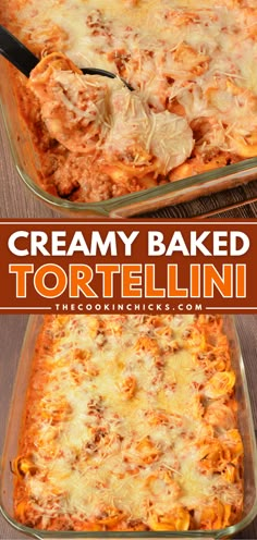 Creamy Baked Tortellini is a delicious and indulgent dish that combines tender tortellini pasta with a rich and creamy sauce, baked to perfection. This Italian-inspired recipe is perfect for any occasion, from a cozy family dinner to a special gathering with friends. This quick and easy meal calls for only 7 ingredients and can be ready for the oven in under 10 minutes! Perfect with a side of cheesy garlic bread! Cheese Tortolini Recipe, Spaghetti With Tortellini, Pasta Recipes With Tortellini, Johnny Carinos Baked Cheese Tortellini, Tortellini And Meat Sauce, Chicken Enchilada Tortellini Bake, Creamy Lasagna Tortellini, Chicken Tortalini Casserole, Lazy Lasagna With Tortellini