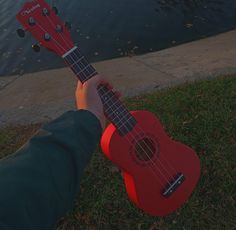 a person holding a red ukulele in their hand next to the water and grass