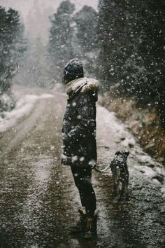 a person walking their dog on a snowy day in the woods with snow falling all around