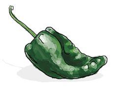 a green pepper on a white background is shown in this drawing, it appears to have been drawn with colored pencils