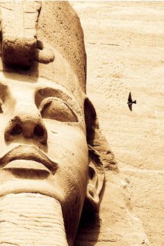 an egyptian statue with a bird flying in the sky next to it's head