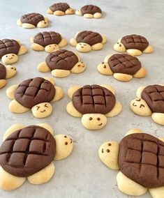 some cookies shaped like turtles on a table