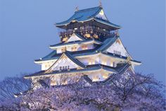 a tall white building surrounded by trees with purple flowers on it's sides at dusk