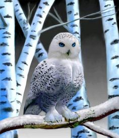 a white owl sitting on top of a tree branch in front of some blue trees