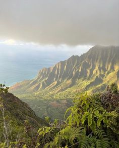 the mountains are covered in vegetation and clouds