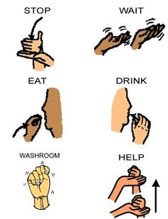 Learn Sign Language Words, Virtual Community