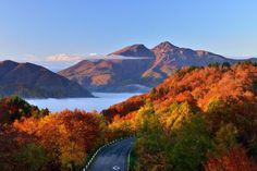 the road is surrounded by colorful trees and fog in the distance, with mountains in the background