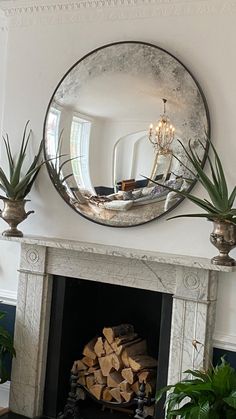 a mirror is hanging above a fireplace with potted plants