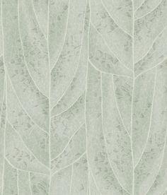 a close up view of a green leaf wallpaper