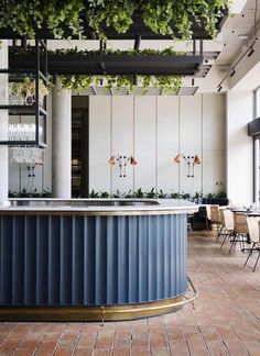 an indoor bar with plants hanging from the ceiling