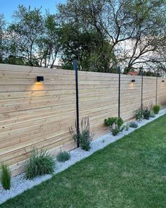 a wooden fence with lights on it and some plants growing in the grass next to it