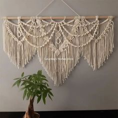 a potted plant sitting next to a macrame wall hanging