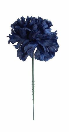 a large blue flower on a white background