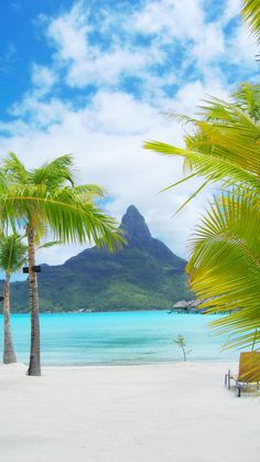 palm trees and chairs on the beach with mountains in the background