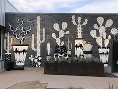 a mural on the side of a building with cacti and succulents