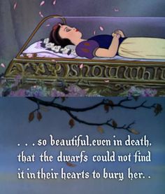 ... so they decided to put her in a glass coffin where they could watch her rot... Funny Disney Quotes, Glass Coffin, Disney Quotes Funny, 7 Dwarfs, Snow White Disney, Funny Disney, Snow White And The Seven Dwarfs, Disney Favorites