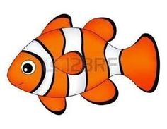 an orange and white clown fish on a white background