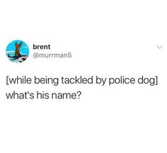 a tweet that reads, while being attacked by police dog what's his name?