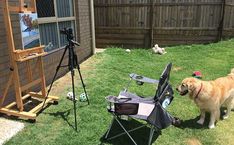 a dog standing in the grass next to a laptop computer and camera set up on a tripod