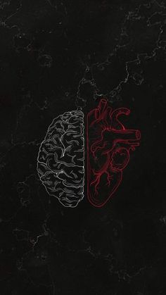 two halves of the same brain are shown