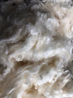 Domestic, Raw, Organic, Natural Cotton for Spinning, felting, or crafts. Natural Fibers Textile, Organic Cotton Fabric Texture, Crismas Tree, Cotton Aesthetic, Cotton Tree, Yarn Brand, Brand Inspiration Board, Natural Homes, Primitive Homes