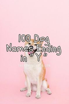 a small dog sitting in front of a pink background with the words 100 dog names ending in y