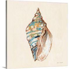 a painting of a seashell on a white background