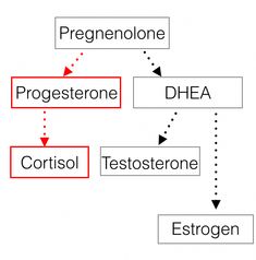 Have you ever heard of a guy named Tim Berners-Lee?  No?  How about Steve Jobs and Mark Zuckerberg?  Of course!  Well, while Steve Jobs Hormonal Migraine, Adrenal Reset, High Estrogen, Leptin And Ghrelin, Hormonal Health, High Cortisol, Addisons Disease