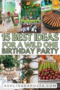 the top 15 best ideas for a wild one birthday party - ashinakaposta com