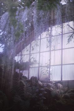 an image of a building that is covered in plants