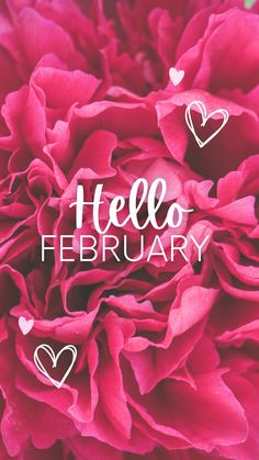 a pink flower with hearts on it and the words hello february written in white ink