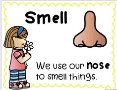 a sign that says, smell we use our nose to smell things on the nose