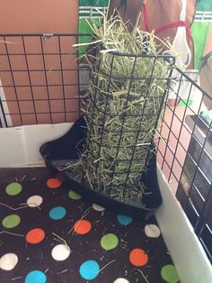 a horse is standing next to a cage with hay in it