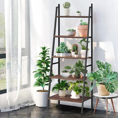 a shelf filled with potted plants in front of a window next to a chair