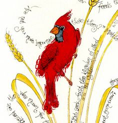 a red bird sitting on top of a plant with words written all over the place