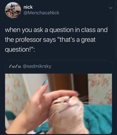 a person holding a cat up to their face with the caption when you ask a question in class and the professor says that's a great question