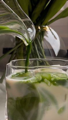 a glass filled with green liquid next to a potted plant