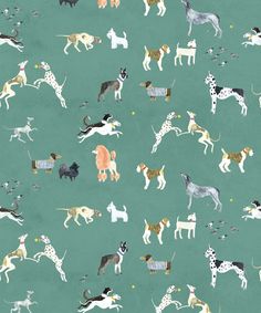 a green wallpaper with dogs and cats in various poses on it's surface