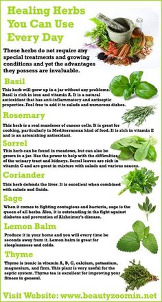 Spiritual Herbs, Witchy Herbs, Benefits Of Herbs, Ancient Remedies, Survival Ideas, Magia Das Ervas, Medicinal Herb, Herbal Plants, Healthy Herbs