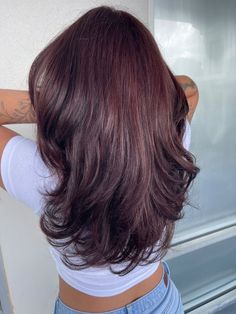 Dark Cherry Brown Hair Burgundy, Cherry Colour Hair, Cherry Red Hair On Black Hair, Cherry Black Hair Color Burgundy, Dark Red Tinted Hair, Red Wine Color Hair, Cherry Red Hair On Brown Hair, Dark Red Hair On Black Hair