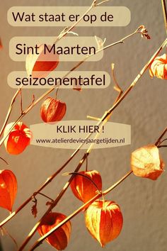 a plant with red leaves on it in front of a white wall and the words, watt stat er op de sint martin seizenenaten seizentafenheie