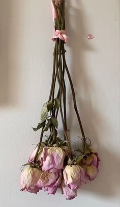 dried flowers hanging from a wall