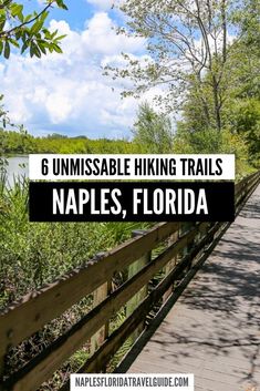 6 Unmissable Hiking and Walking Trails Naples FL Florida Hiking, Hiking In Florida, Bicycle Trail, Florida Travel Guide, Florida Adventures, Bike Path, Bike Trips, Naples Fl, Naples Florida