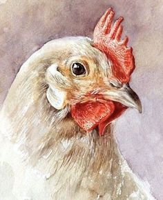 a painting of a chicken with a red comb on it's head and neck