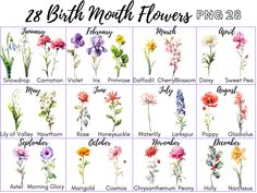 an image of flowers that are in the month of march, with names and pictures